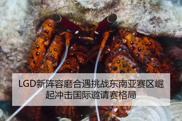 LGD新阵容磨合遇挑战东南亚赛区崛起冲击国际邀请赛格局